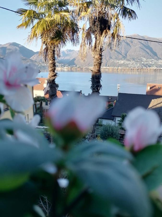 Albergo Ristorante Al Portico Gerra  エクステリア 写真