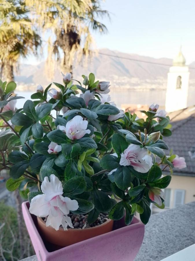 Albergo Ristorante Al Portico Gerra  エクステリア 写真